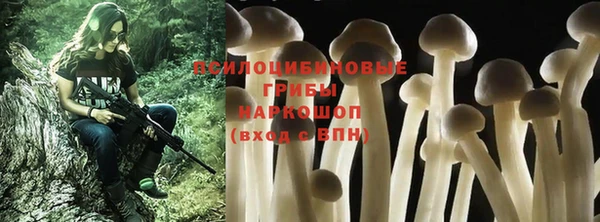 a pvp Рославль